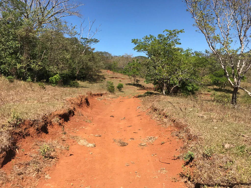 Ocean view farm for sale in the mountains of San Juanillo - Gallery image 10