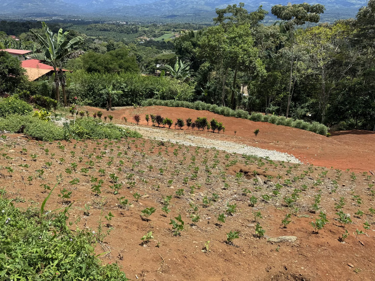 Prime 40,000 Sq. Ft. Building Lot with Mountain & Valley Views in Pérez Zeledón - Gallery image 16