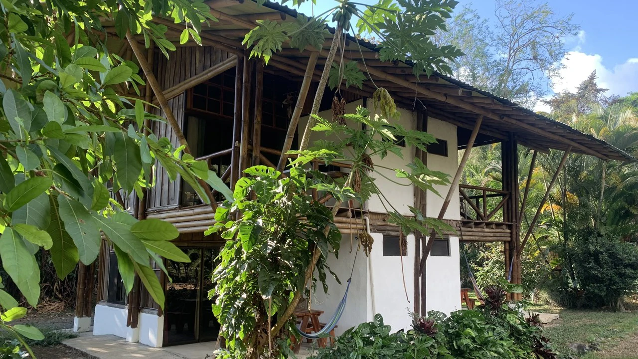 Talari Hotel: Nature and Bird Lover's Paradise - Mountain Lodge - Gallery image 6