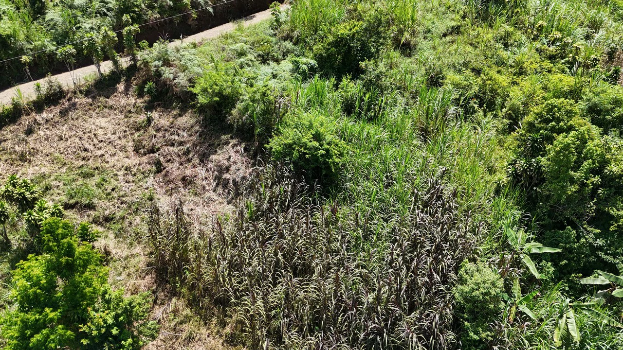 LOTE EN RIVAS: Mountain Agricultural Land For Sale in San Isidro del General - Gallery image 6
