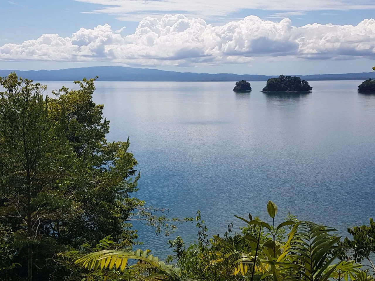 Nature Lover's Marina Resort Investment: Costa Rica South-Pacific Gulf Coast Marina, Rainforest Resort