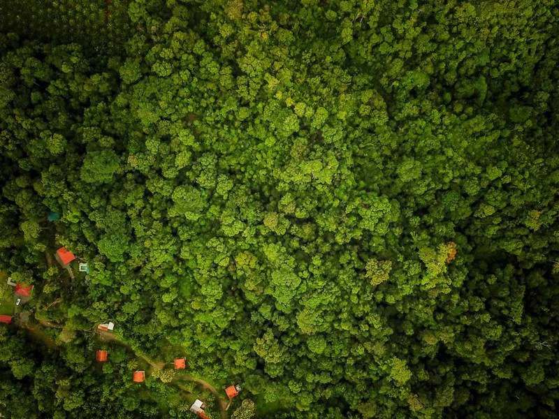Golfo Dulce Jungle Reserve Extraordinary property in Cañaza - Gallery image 2