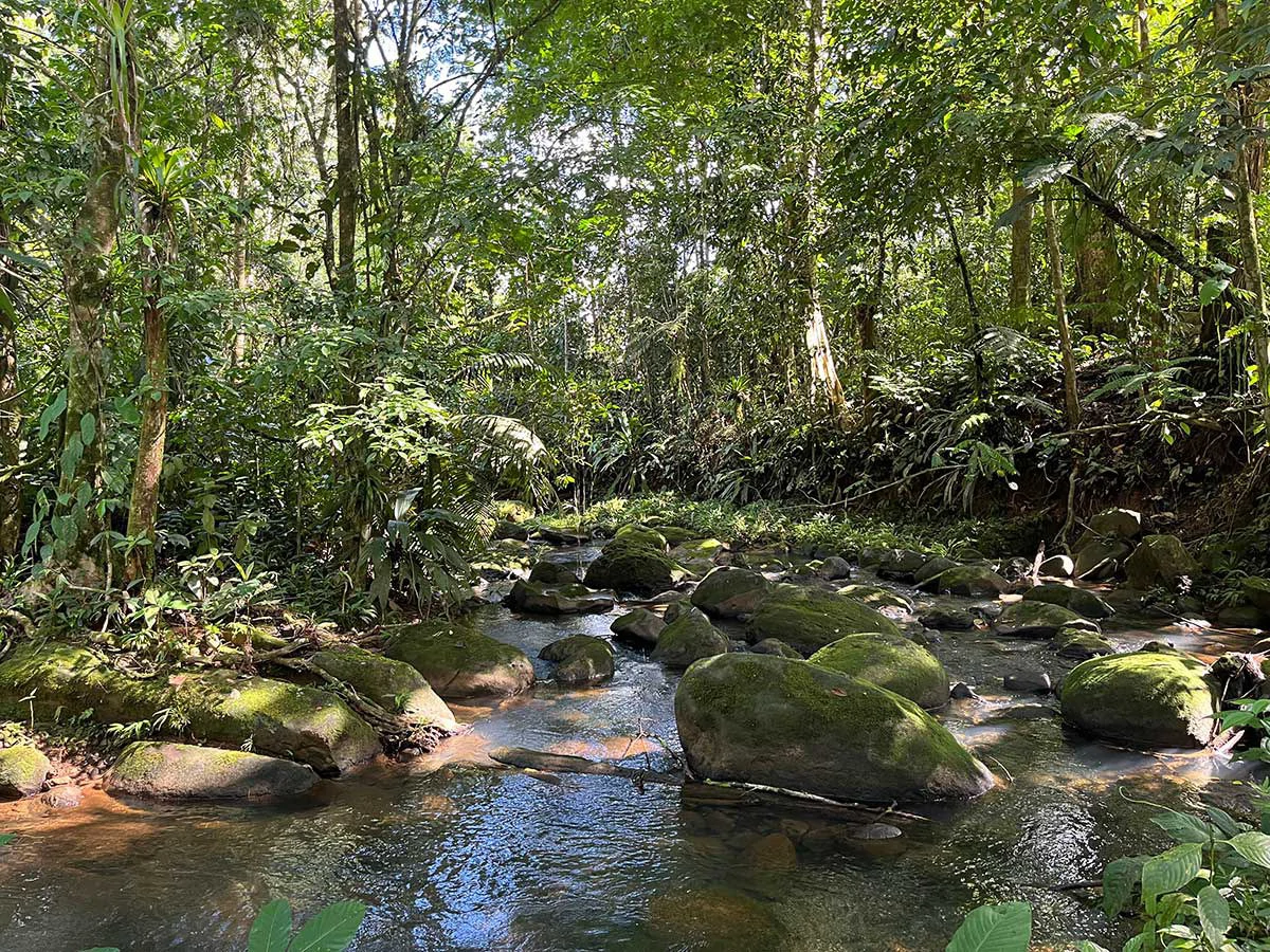 ID 4161: Expansive Farm for Sale in Sarapiquí, Heredia: Pastureland, Rivers & Private Fores - Gallery image 7