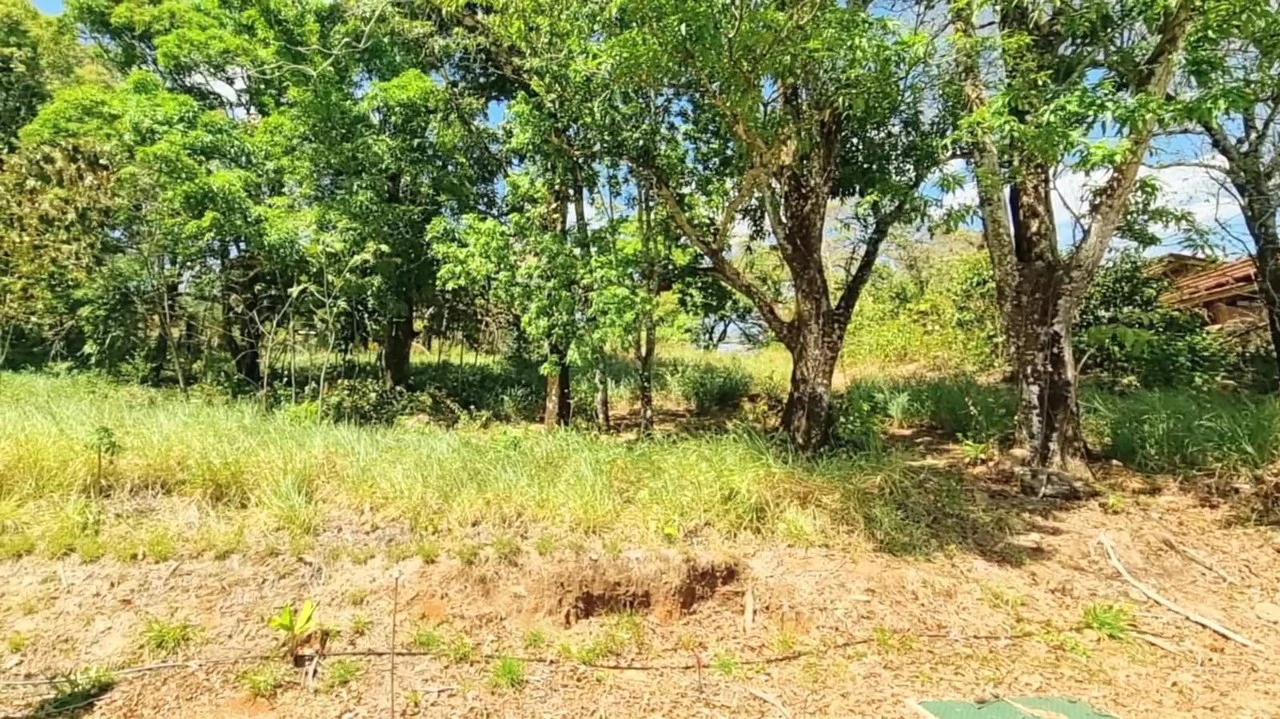 Lot for sale in Alegria Village: BEAUTIFUL LOT FOR SALE IN THE HEART OF ALEGRIA VILLAGE (10602 SQFT) - Gallery image 3