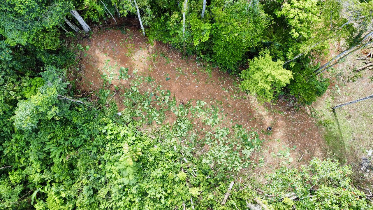 Marvelous Ocean View Parcel in Uvita. - Gallery image 13