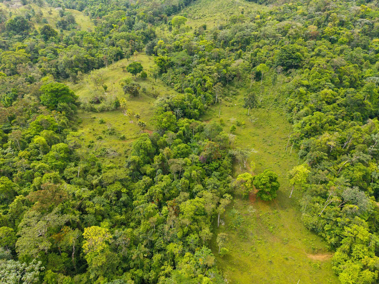 Finca Las Zompopas-Río Celeste: 113-Acre Biodiverse Property in Bijagua, Ideal for Eco-Tourism, Private Retreats, or Sustainable Development - Gallery image 16