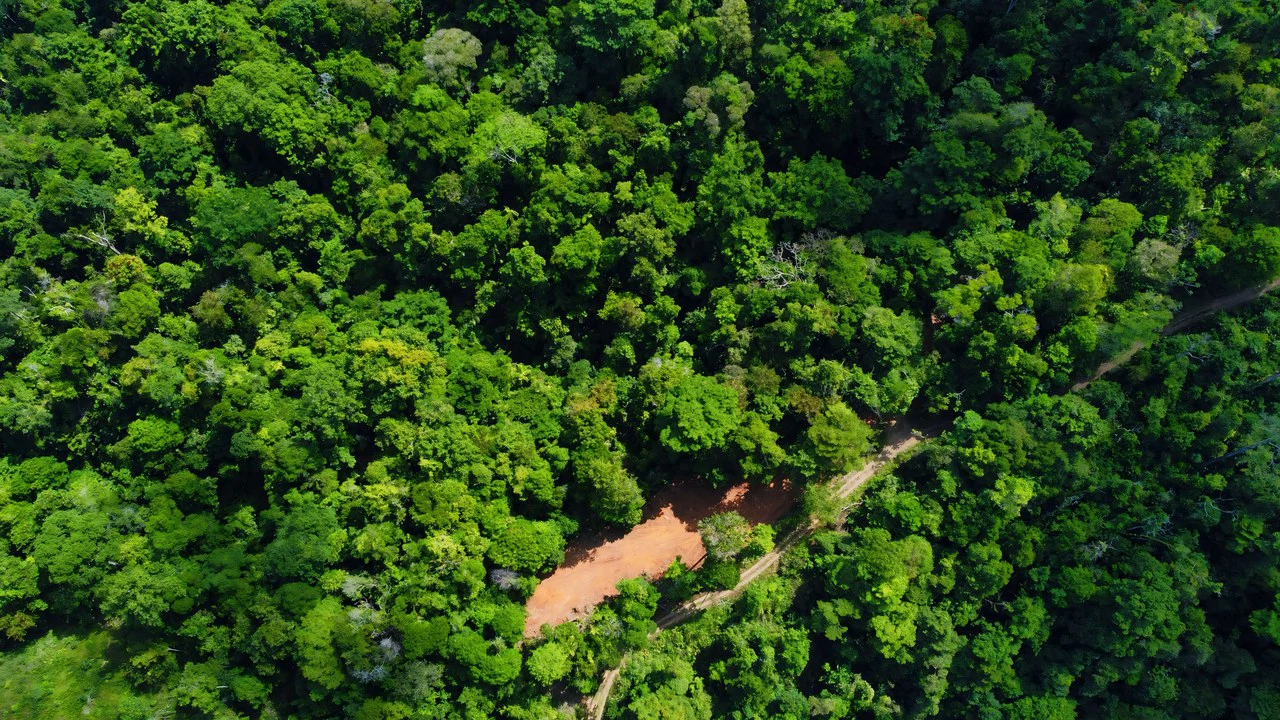 FINCA CERRO DEL TIGRE! OVER 20 ACRES OF PRIMARY FOREST AND WATERFALLS.: Mountain Agricultural Land For Sale in La Unión - Gallery image 15