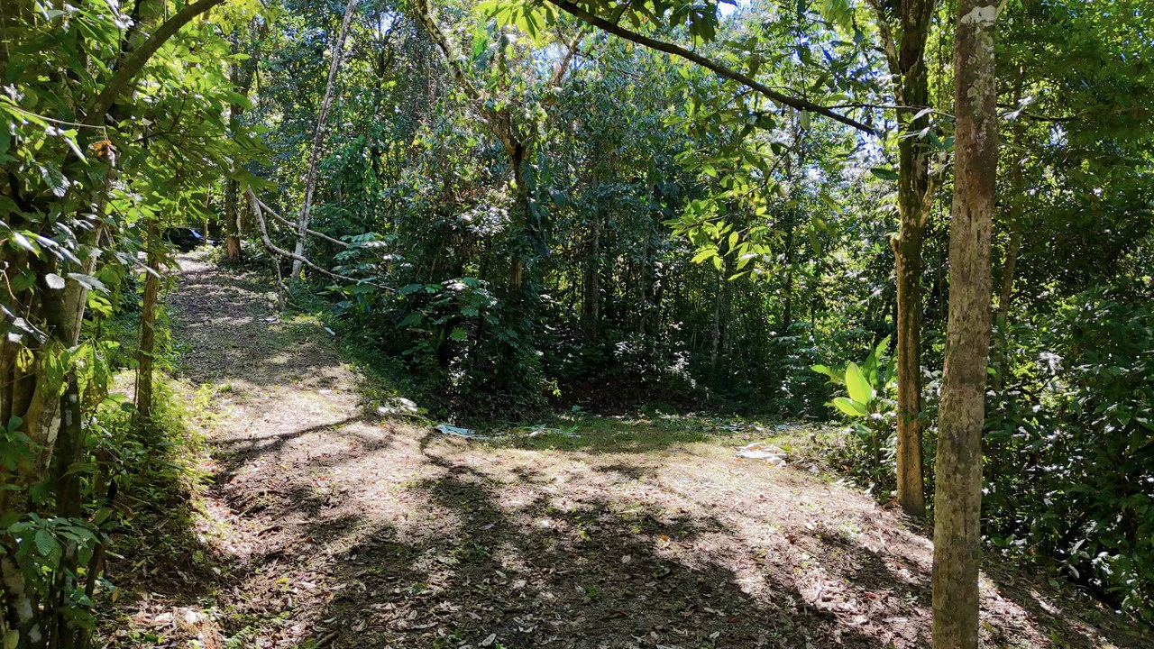 1.4-acre gated lot in Uvita - Gallery image 3