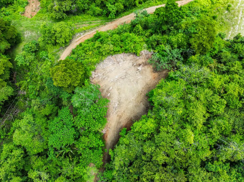 Lote Vista Lapa - 2.1 Acre Ocean View Lot: Countryside Home Construction Site For Sale in Playa Samara - Gallery image 5