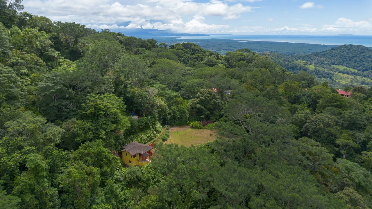 Build-Ready Ocean View Land with Guest House & Fruit Orchard | Tres Rios, Costa Rica - Gallery image 6