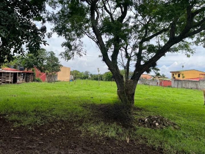 Development Parcel For Sale in Desamparados - Gallery image 3