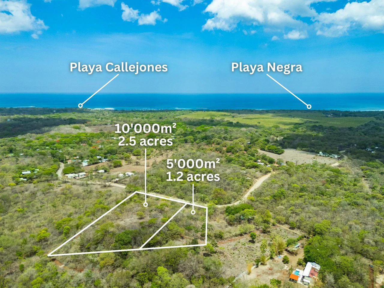 Pura Jungla Lots: Expansive Lots with Water Availability in Los Pargos - Gallery image 18