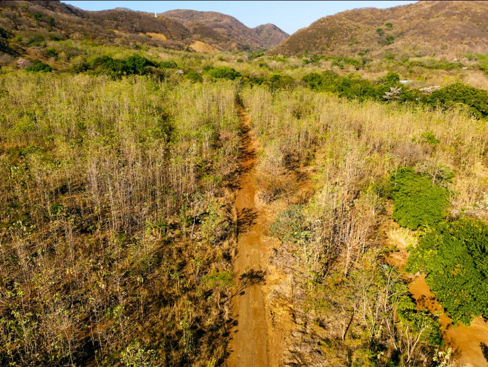 Discover Your Dream Farm on 4.2 Hectares in Costa Rica - Gallery image 11