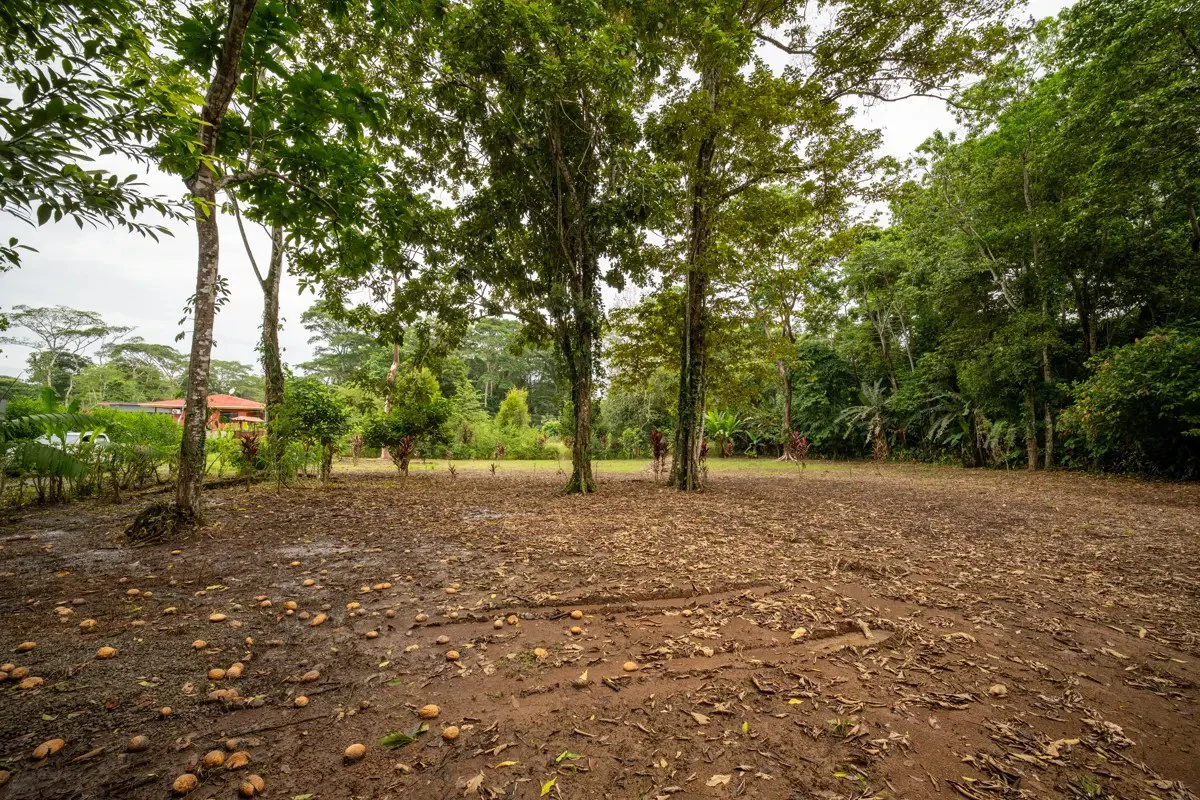 ID 1150: 3000 sqm Titled Land Near Cahuita National Park, Costa Rica - photo 11