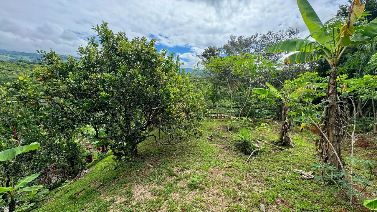 Charming Hardwood Cabin with Fruit Garden Near San Isidro - Gallery image 43