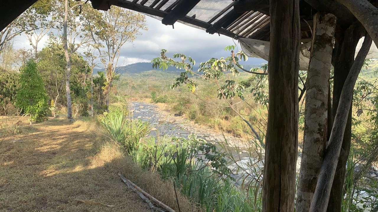 Talari Hotel: Nature and Bird Lover's Paradise - Mountain Lodge - Gallery image 35