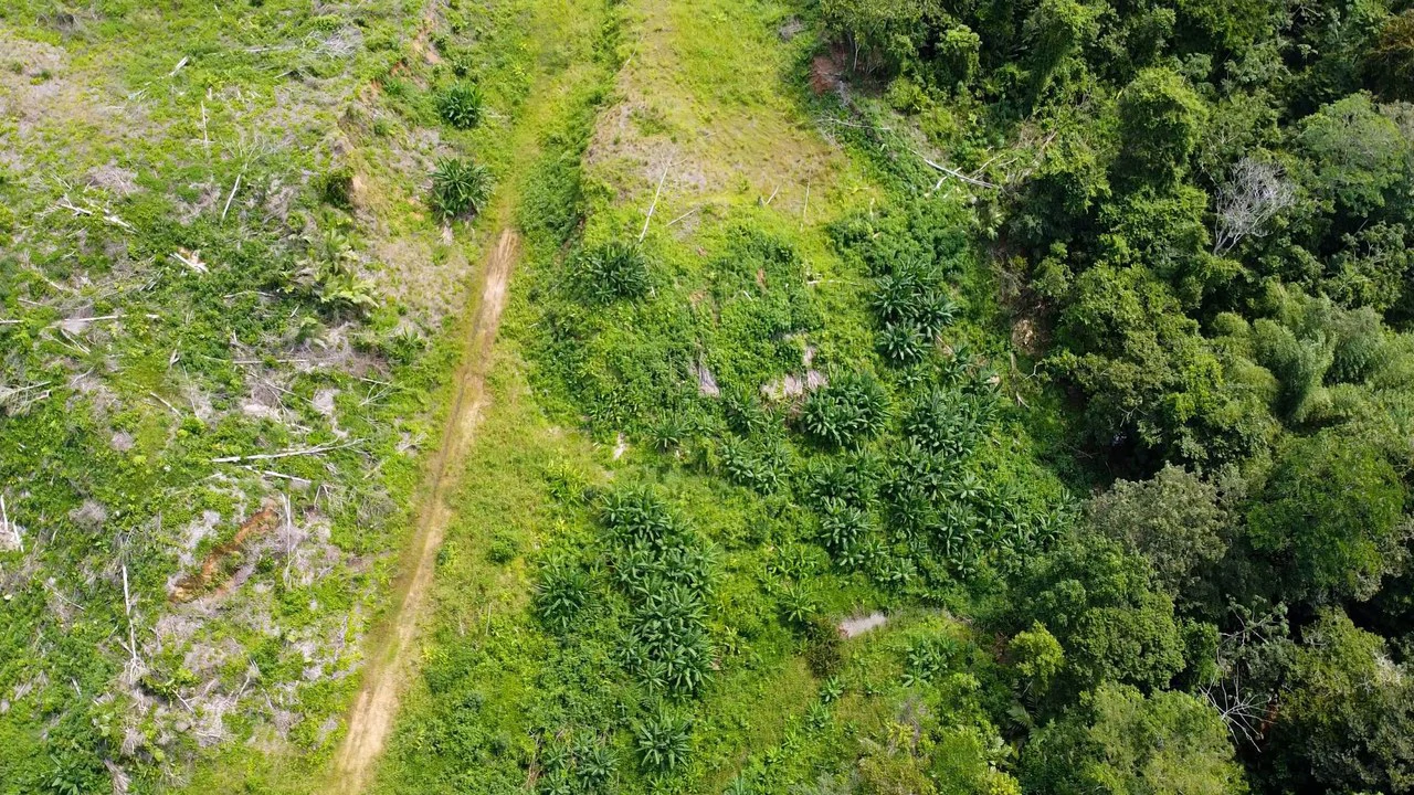 Terreno en Zona Industrial de Limón: Development Parcel For Sale in Moin - Gallery image 7