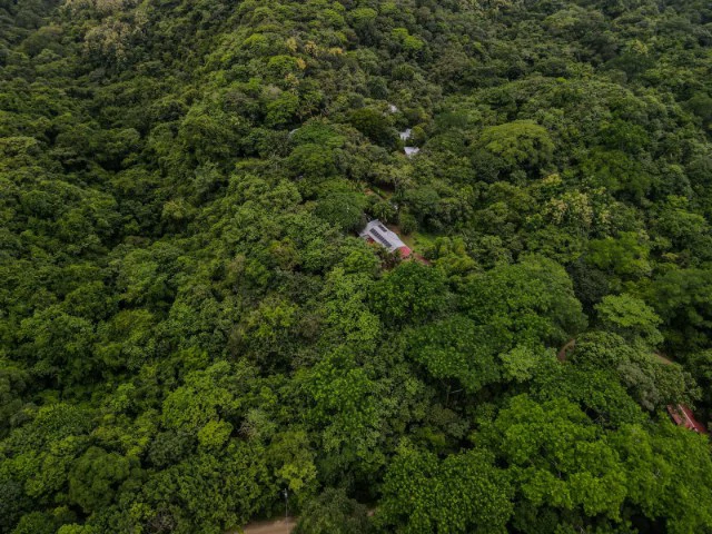 Nosara's Brand New Top Villas as a Business Opportunity in the dense forest of catchment area, 7 villas for sale in Costa Rica's Healthy Blue Zone - Gallery image 33