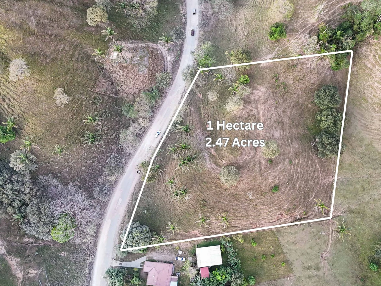 Lote Las Palmas - 1 Hectare lot a short distance to 3 beaches: Countryside Home Construction Site For Sale in Playa Samara - Gallery image 5