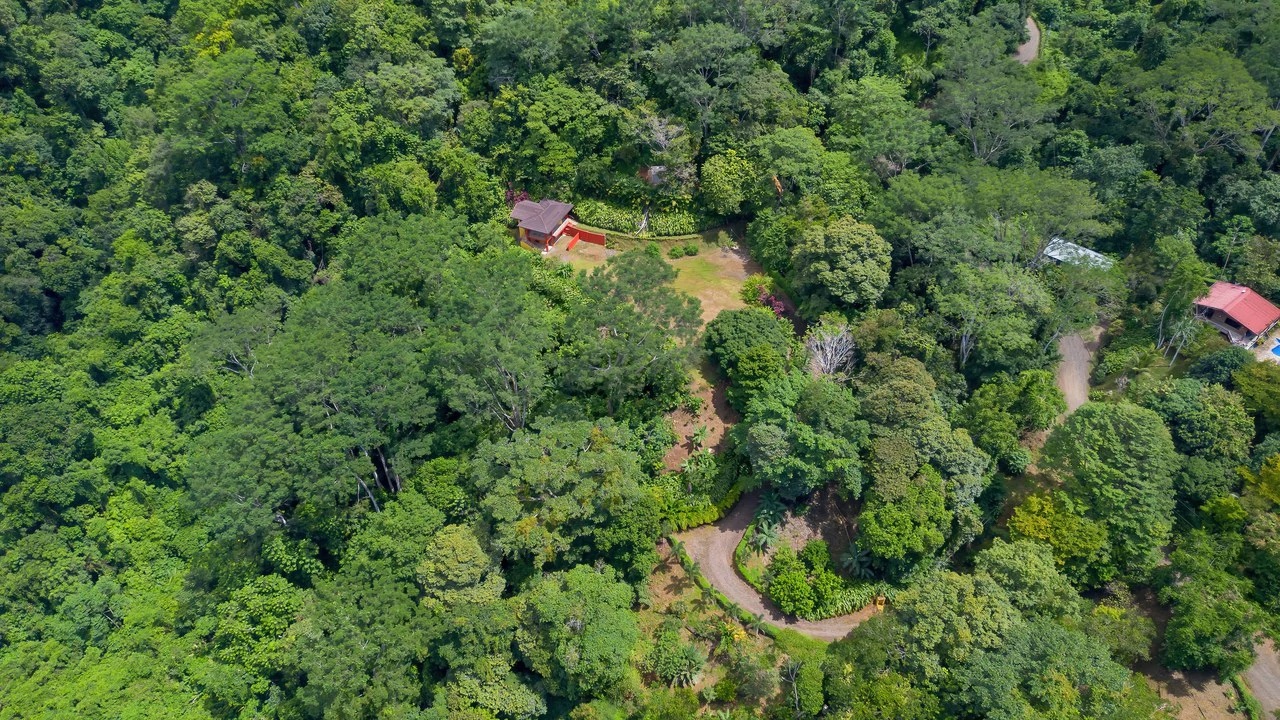 Build-Ready Ocean View Land with Guest House & Fruit Orchard | Tres Rios, Costa Rica - Gallery image 21