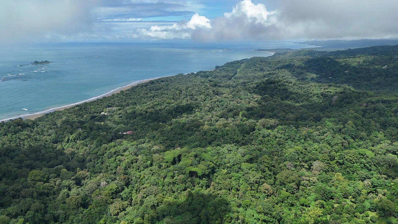 Finca Las Cataratas in Ballena: Mountain Home Construction Site For Sale in Bahía Ballena - Gallery image 4