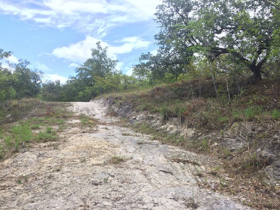 Finca grande: Economic Building property for sale in El Salto, with private access to the surrounding beautiful nature with own river - Gallery image 8