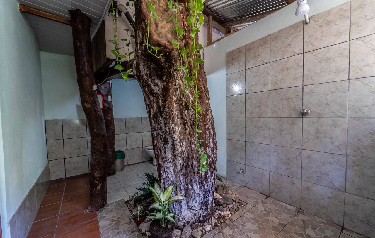 Casita San Fernando - 2BR Tico Home: Countryside House For Sale in Playa Samara - Gallery image 17