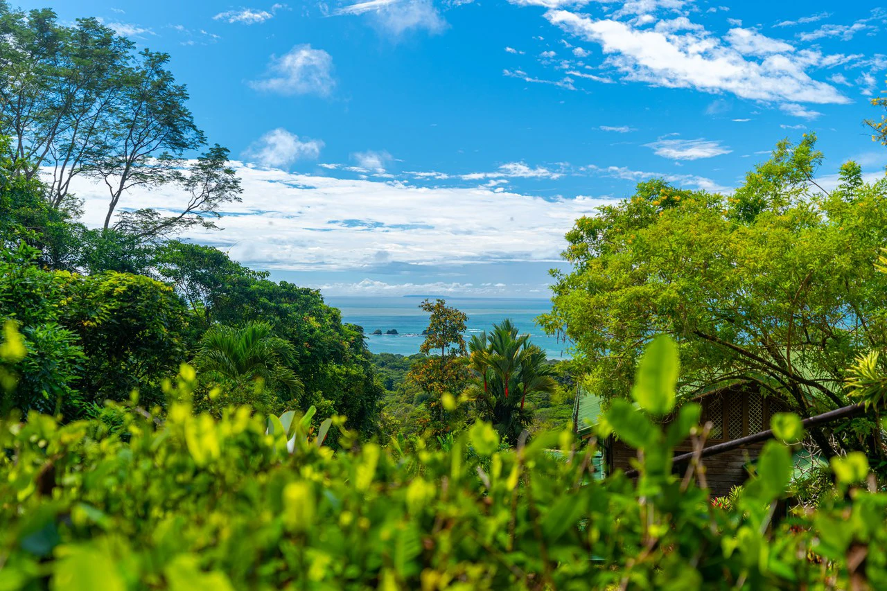VILLA KRISTINA MARIA - 3.84 ACRES - PERLA DE BALLENA ESTATES: Mountain House For Sale in Bahía Ballena - Gallery image 74