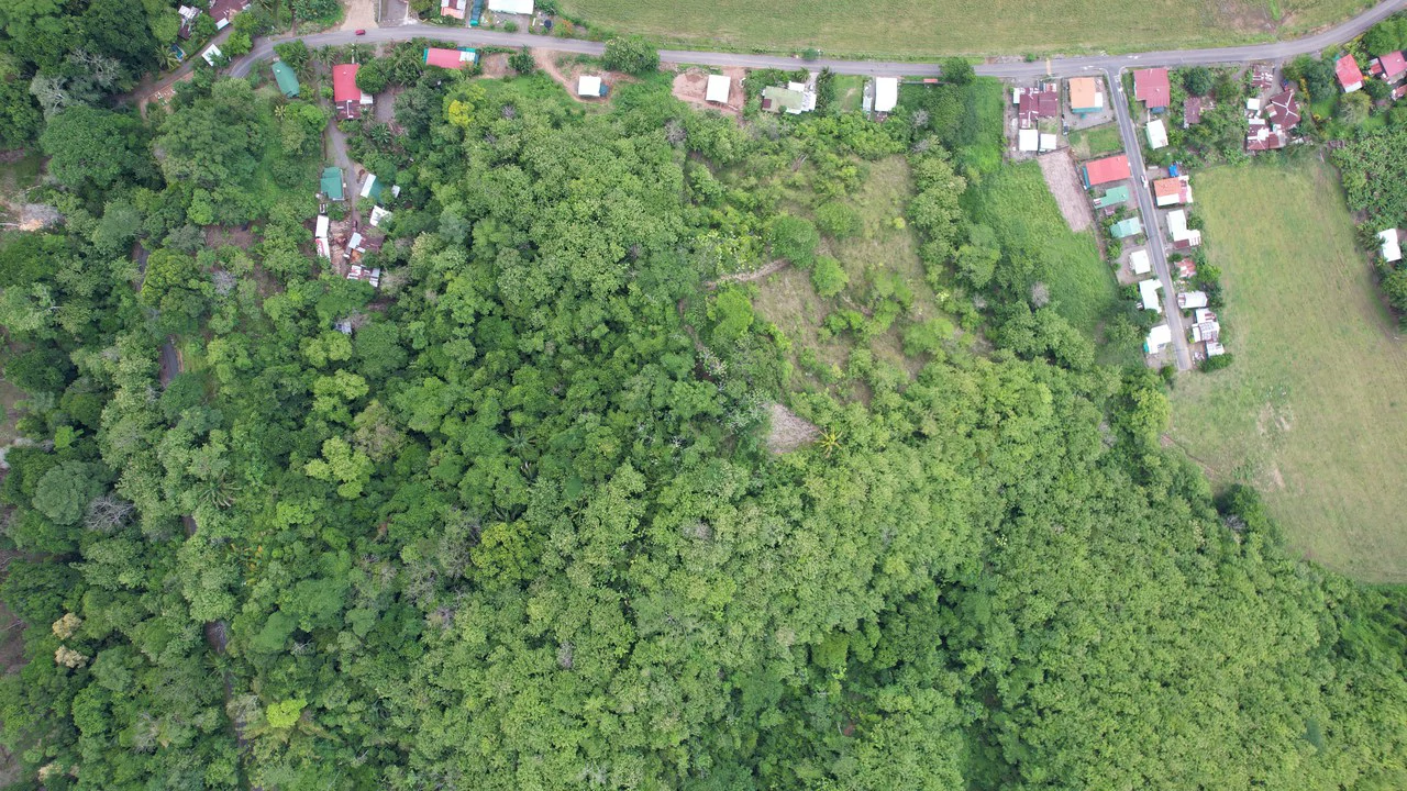 Finca Linda vista: Property for sale with flat land and small mountain with terrace to build and incredible views - Gallery image 9