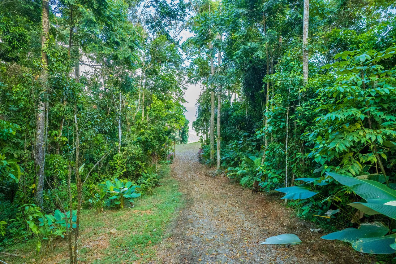 5.3 ACRES – Mountain And River View Land 20min To Dominical, Ready To Build, Legal Water, Electricity & Fiber Optics, Streams And Community Trails!!!! - Gallery image 12