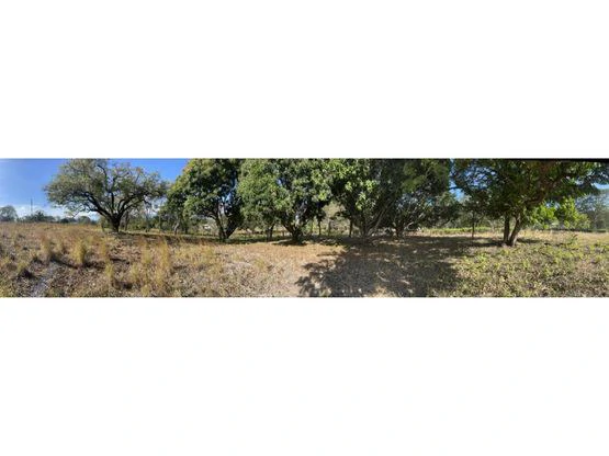 For Sale: This beautiful flat lot in La Ceiba of Orotina - Gallery image 6
