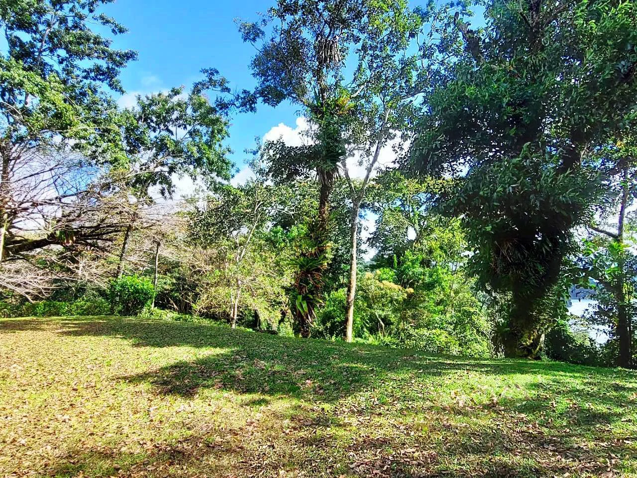 RAINBOW BAY - Beautiful 3.5 acre Lot in Gated Community - Gallery image 11