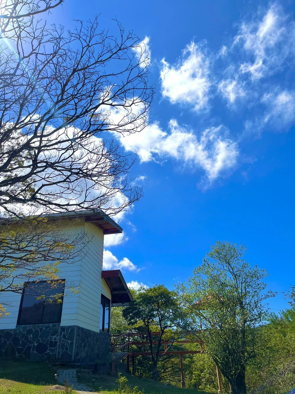 2 Acres with 4 houses Centrally located in Monteverde BV0224: Turn-Key Accommodations Business on 2 Acres Just 5 Minutes from Santa Elena – Surrounded by Nature, Ready to Grow - Gallery image 14