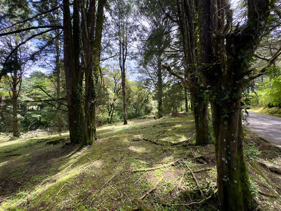 Live in harmony with nature in San Rafael de Heredia - Gallery image 12