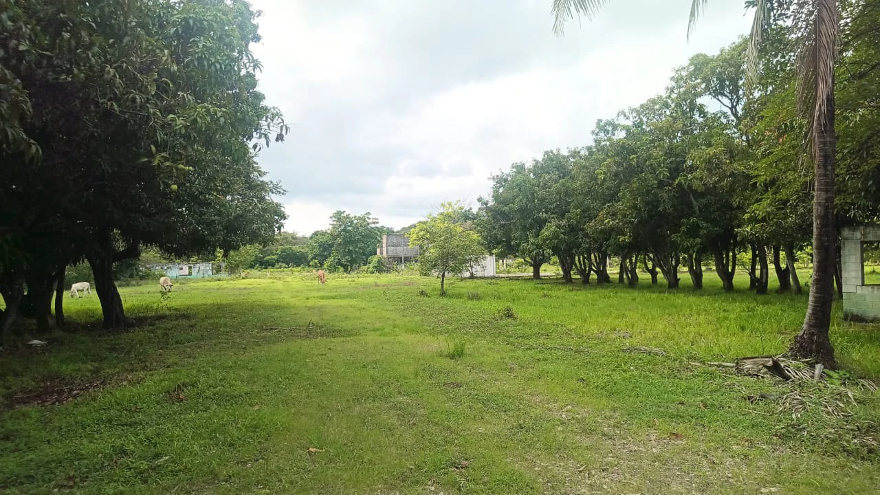 Industrial Property Complex for Sale – Prime Location on Route #21, Just 5 Minutes from Liberia International Airport - Gallery image 6