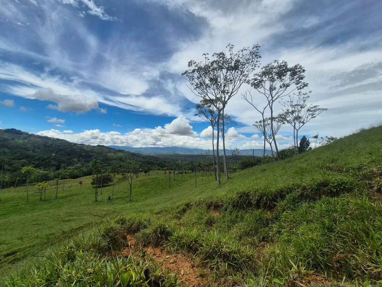 Countryside Agricultural Land For Sale in Centro de Pérez Zeledón - Gallery image 15