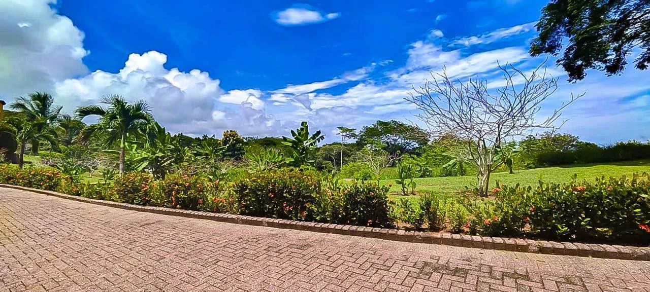 LAND FOR SALE IN COSTA ESTERILLOS ESTATES - Gallery image 5