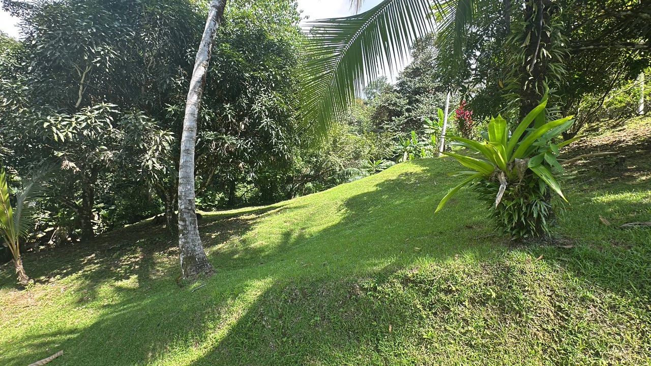 Development Parcel Central Uvita with River! - Gallery image 5