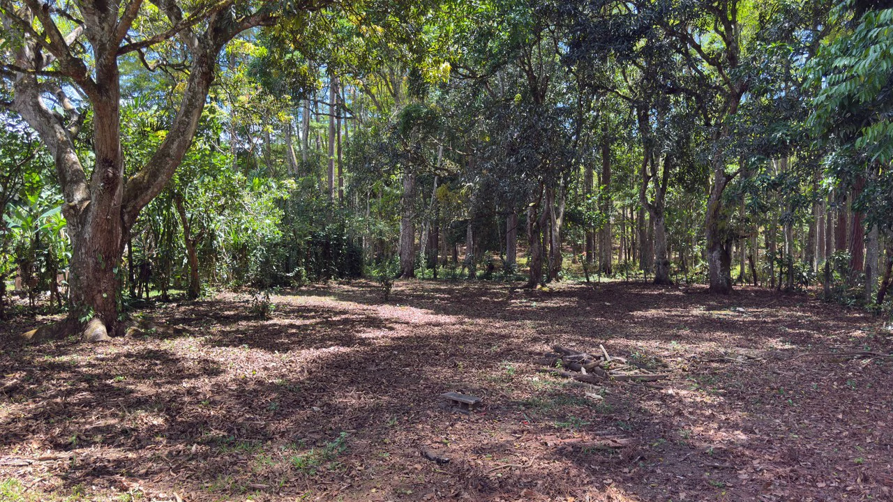 Home Construction Site For Sale in Río Nuevo - Gallery image 4