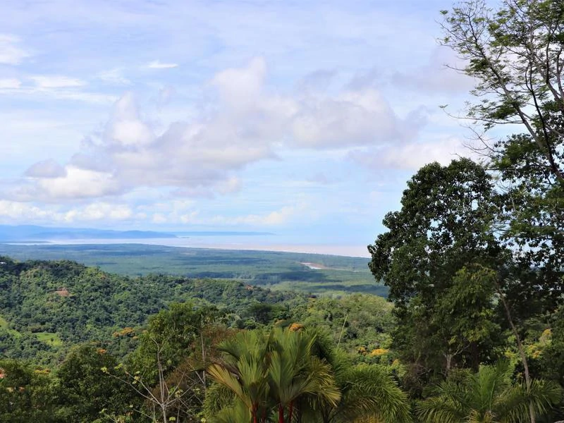 Captivating 3.15-Acre Property: Huge Pricedrop! Firesale Oceanview Lot in Tres Rios - Gallery image 50