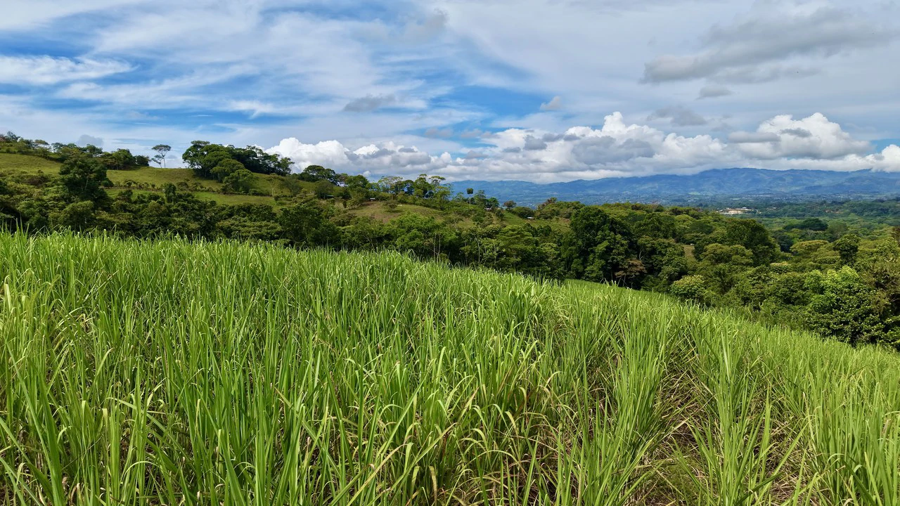 Home Construction Site For Sale in General Viejo - Gallery image 12