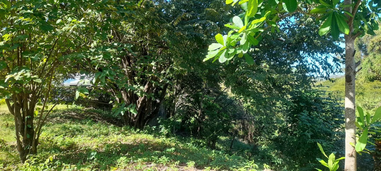 Playa Carrillo Lot: 200 meters to Playa Carrillo - Gallery image 7