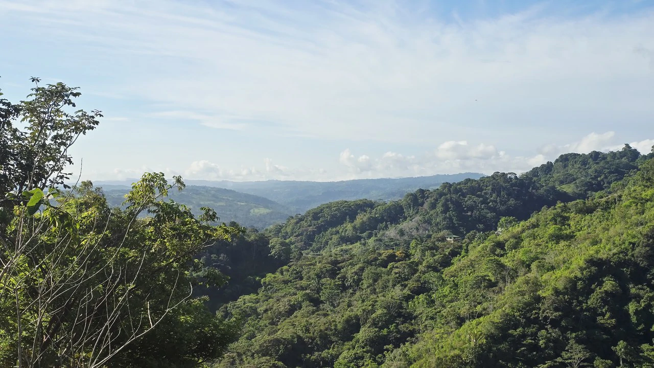 Mountain Agricultural Land For Sale in San Isidro del General - Gallery image 15