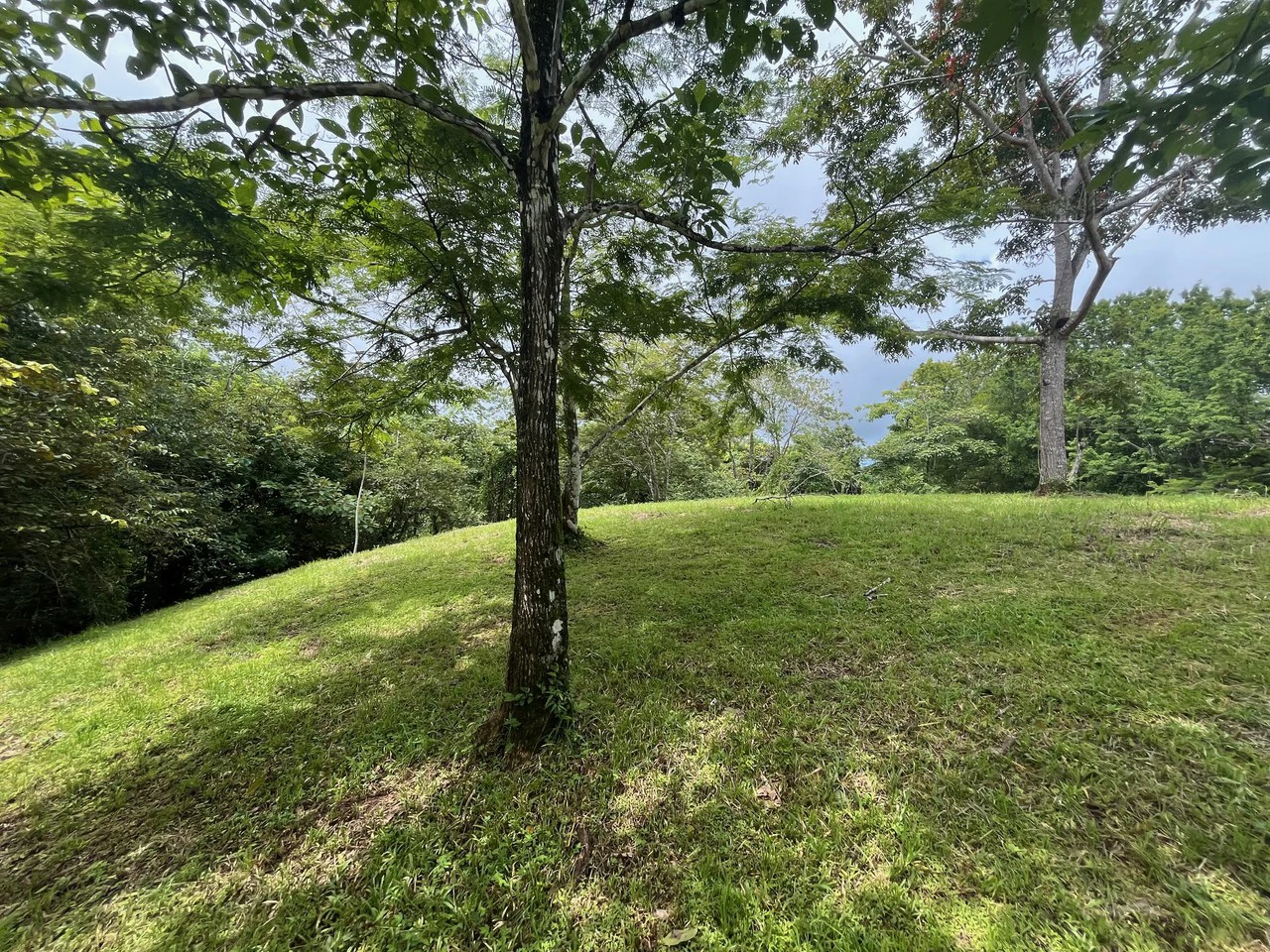 6000m2 Ready to Build Lot in Delicias: Great Price with Project and Permits included - Gallery image 5
