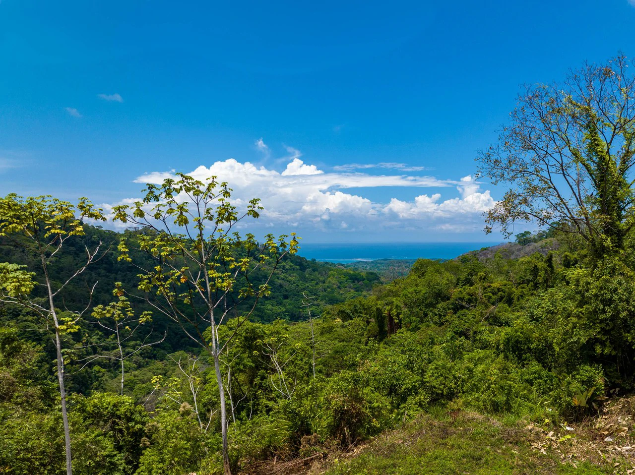 101 Acre Waterfall Riverfront and Ocean View Farm in Playa Uvita - Gallery image 2