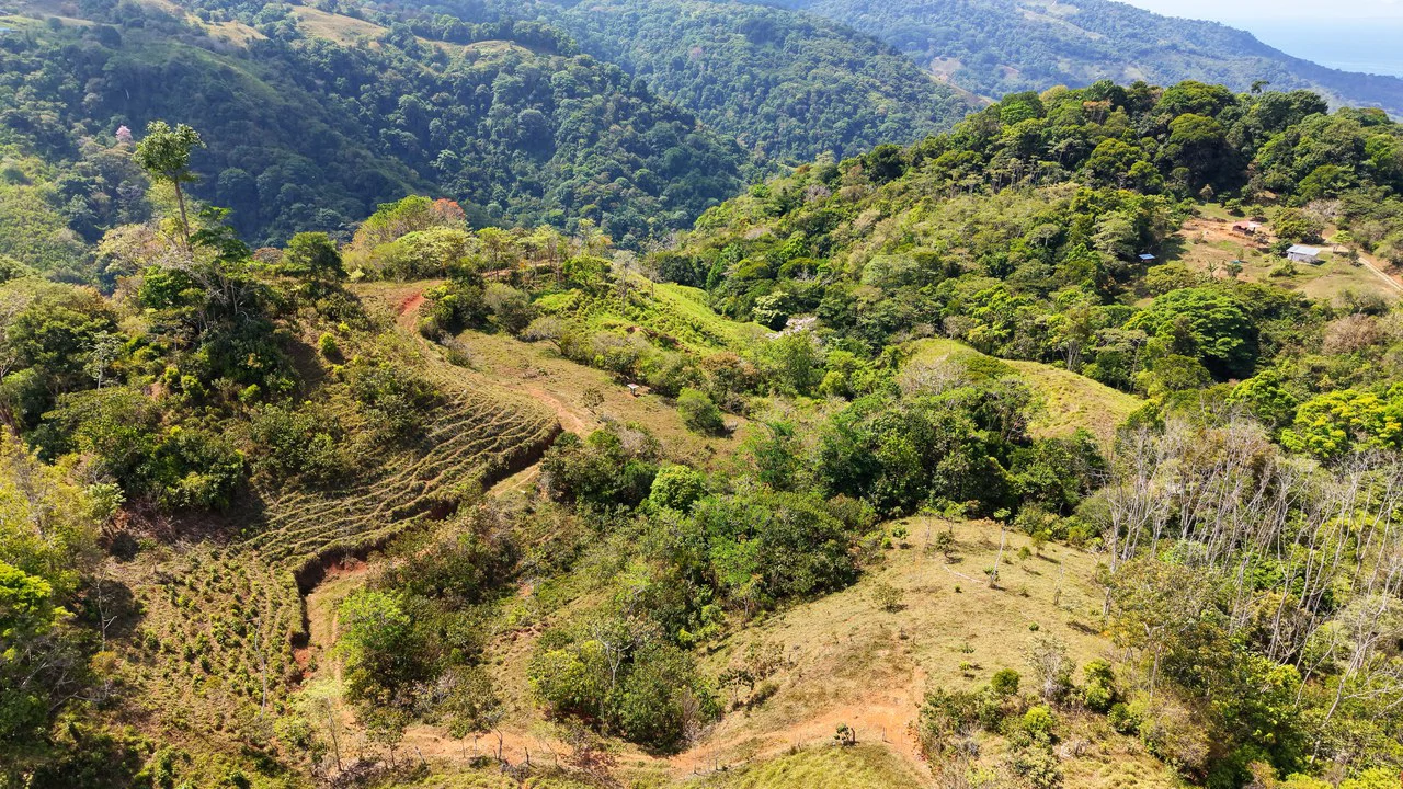 2.8 HA FARM FOR SALE IN SAN LUIS DE MORETE | MOUNTAIN VIEWS AND NEAR THE OCEAN - Gallery image 20