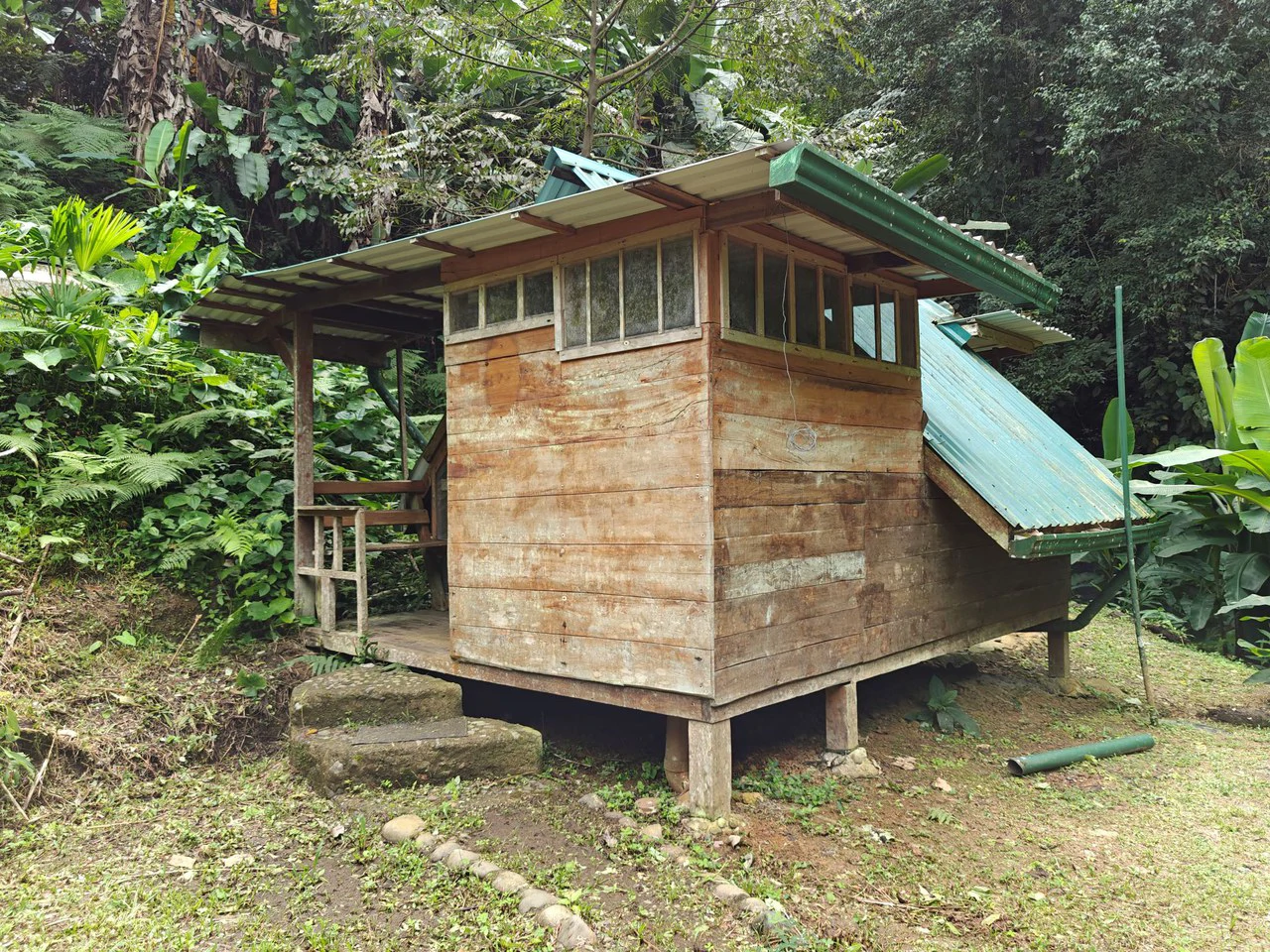 Mountain-Edge Sanctuary with Private Waterfall: 3 Titled Jungle Lots with Platforms, Waterfall, and Income Potential - Gallery image 5