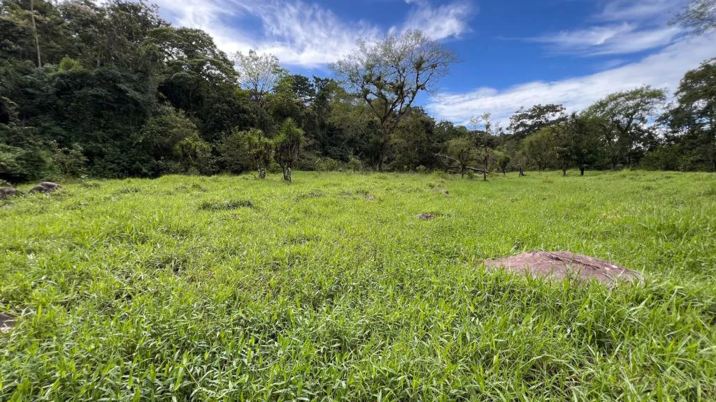 Mountain Home Construction Site For Sale in San Isidro del General - photo 7