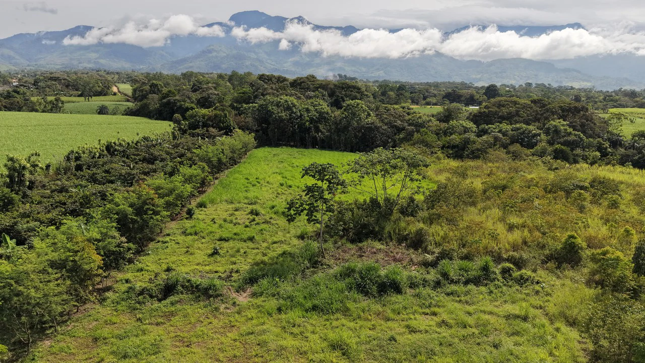 Home Construction Site For Sale in El Pilar - photo 11