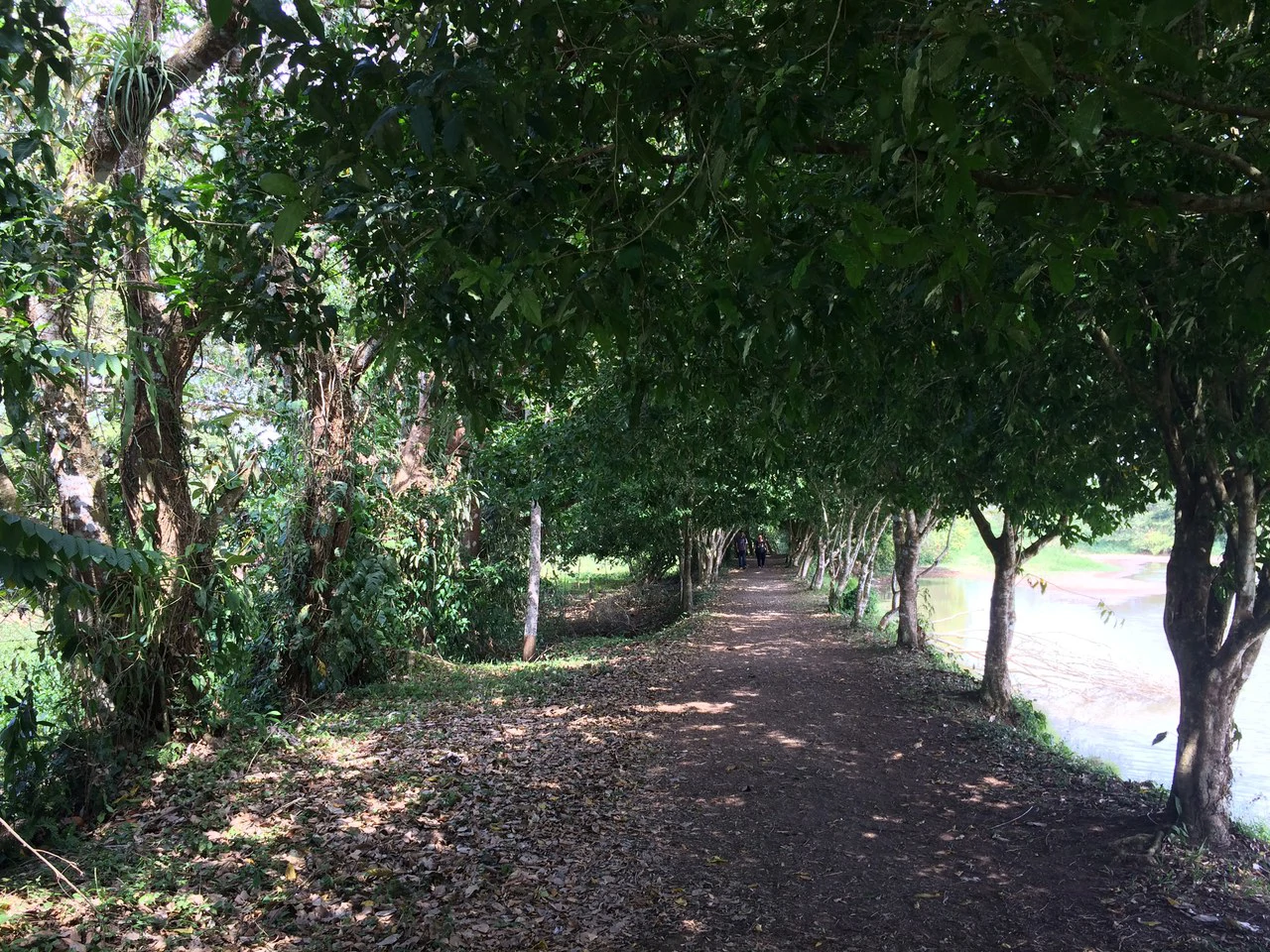 Propiedad grande: Countryside Home Construction Site For Sale in Caño Negro - Gallery image 11
